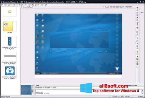 স্ক্রিনশট ScreenShot Windows 8