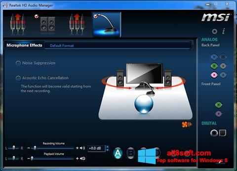 স্ক্রিনশট Realtek Audio Driver Windows 8