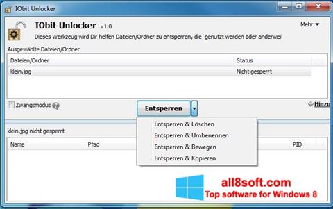 স্ক্রিনশট IObit Unlocker Windows 8