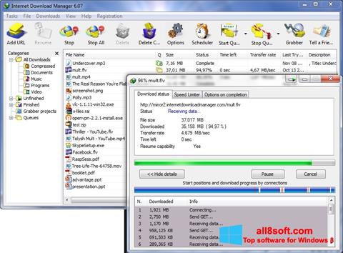 স্ক্রিনশট Internet Download Manager Windows 8