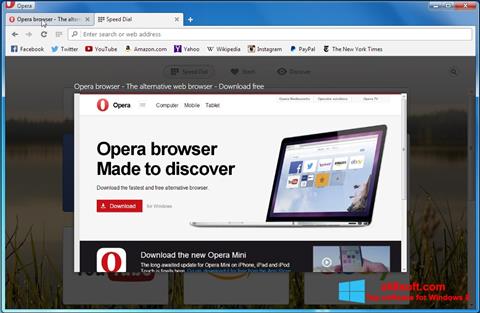 স্ক্রিনশট Opera Developer Windows 8