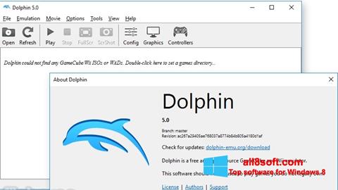 স্ক্রিনশট Dolphin Windows 8
