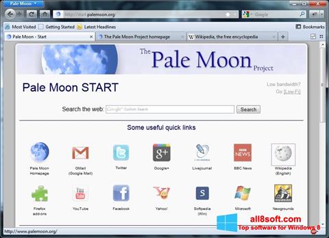 স্ক্রিনশট Pale Moon Windows 8