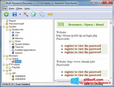 স্ক্রিনশট Multi Password Recovery Windows 8