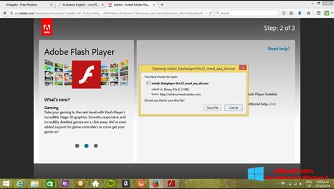 স্ক্রিনশট Adobe Flash Player Windows 8