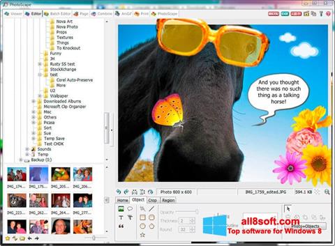 স্ক্রিনশট PhotoScape Windows 8